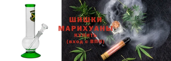 ПСИЛОЦИБИНОВЫЕ ГРИБЫ Алзамай