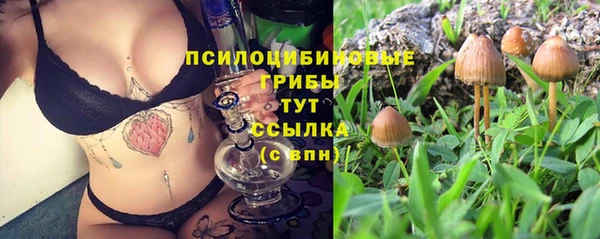 2c-b Болохово
